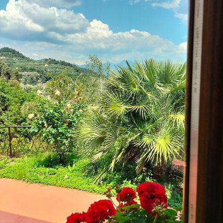شقة Casa Magnolia كامبوروسو المظهر الخارجي الصورة